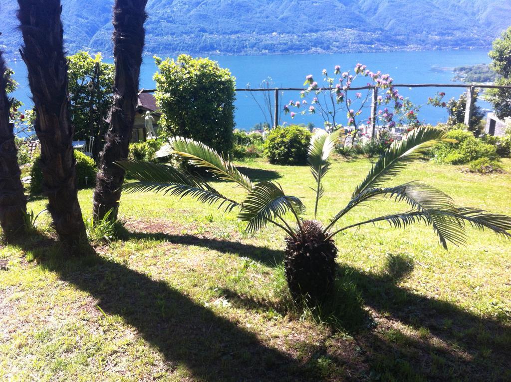 Sonnenstrahl Apartment Locarno Exterior foto